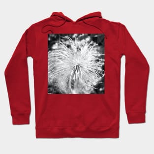 Be a Wild Explosion Hoodie